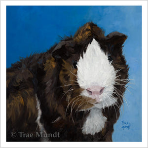 Strike A Pose - Abyssinian - Brown, Black, Red, and White Guinea Pig by Trae Mundt.