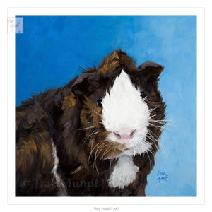 Strike A Pose - Abyssinian - Brown, Black, Red, and White Guinea Pig with blue background - Limited Edition Art Print.