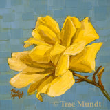 That's Pretty- Yellow Rose with Background of Rich Powder Blue Oil Painting 6x6x.125 inches on panel with walnut floater frame by artist Trae Mundt.