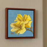 That's Pretty- Yellow Rose with Background of Blues, Blue-Grays, and Blue-Greens Oil Painting 6x6x.125 inches on panel with walnut floater frame by artist Trae Mundt.