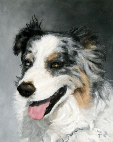 Travis - Austrailan Shepherd Oil Painting Dog by Trae Mundt.