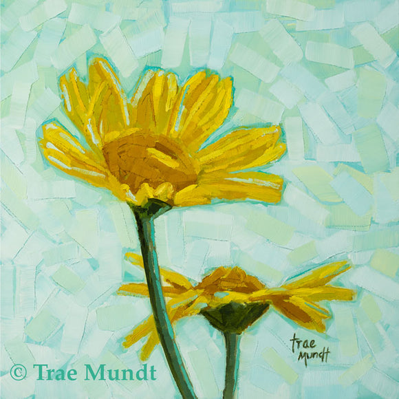 Two Cute - Two Golden Yellow Daisies with Background of pronounced brush strokes of pale turquoise, blue, and green Oil Painting 8x8 inches on panel with white floater frame by artist Trae Mundt.