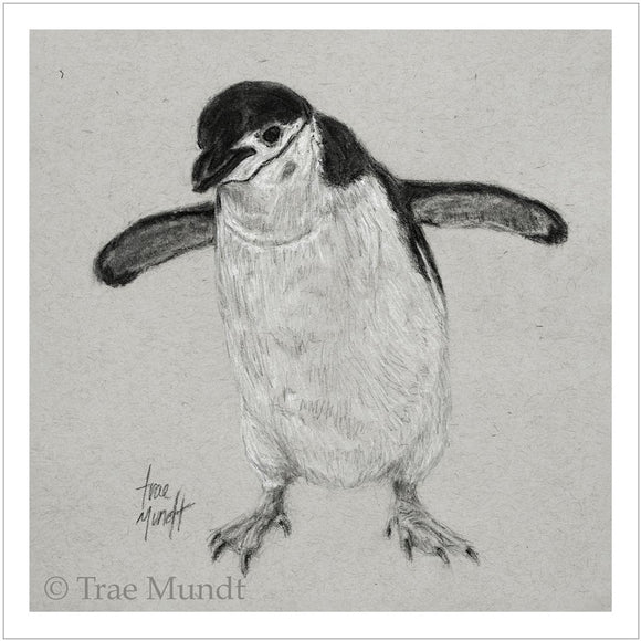 Waddles - Chinstrap Penguin Charcoal Drawing - Art Print