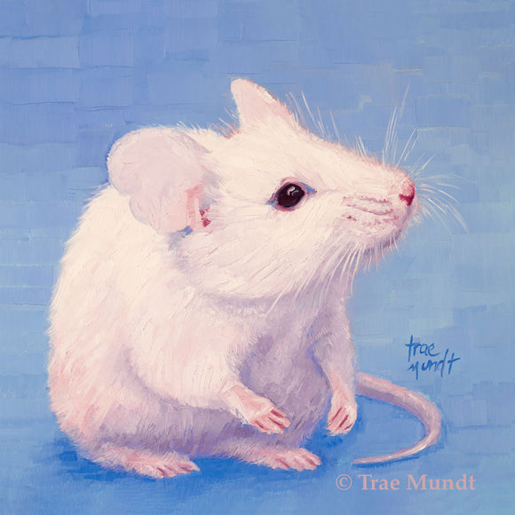 Whiskers - White Mouse with Blue Background oil painting 8x8 inches on panel with white floater frame by Trae Mundt.