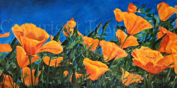 A Glorious View by Artist Trae Mundt. Acrylic painting of California poppies. Close up view with rich detail. Orange flowers with green stems and vibrant blue background.